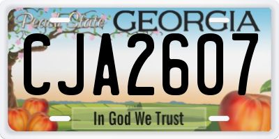 GA license plate CJA2607