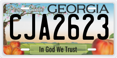 GA license plate CJA2623