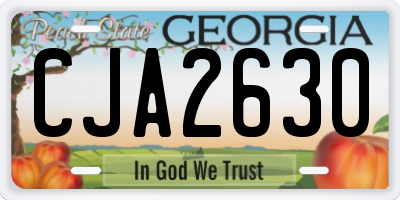GA license plate CJA2630