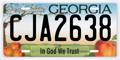 GA license plate CJA2638