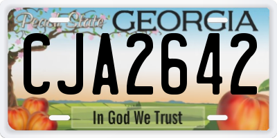GA license plate CJA2642