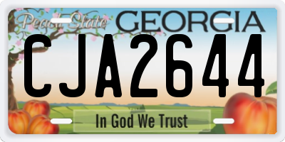 GA license plate CJA2644