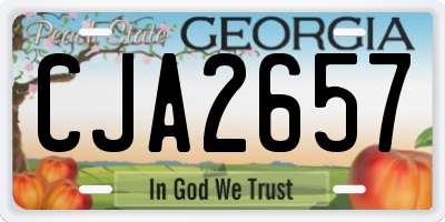 GA license plate CJA2657