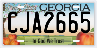 GA license plate CJA2665
