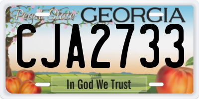 GA license plate CJA2733