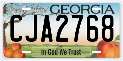 GA license plate CJA2768