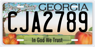GA license plate CJA2789