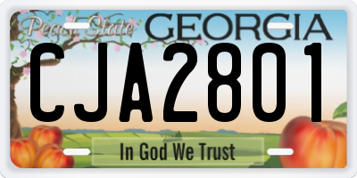 GA license plate CJA2801