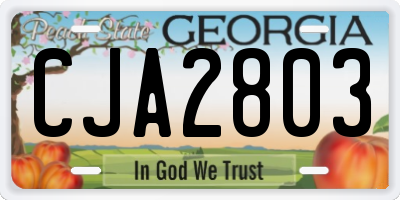 GA license plate CJA2803
