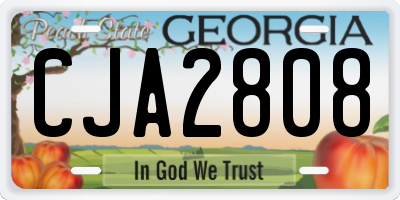 GA license plate CJA2808