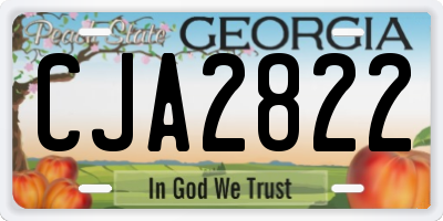 GA license plate CJA2822