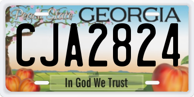 GA license plate CJA2824