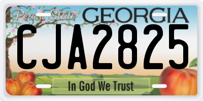 GA license plate CJA2825