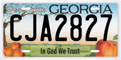 GA license plate CJA2827