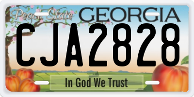 GA license plate CJA2828