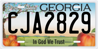 GA license plate CJA2829