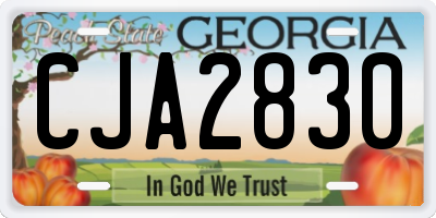 GA license plate CJA2830
