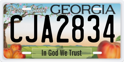 GA license plate CJA2834