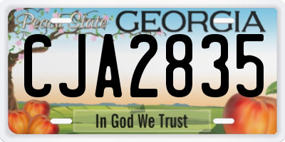 GA license plate CJA2835