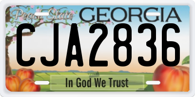 GA license plate CJA2836