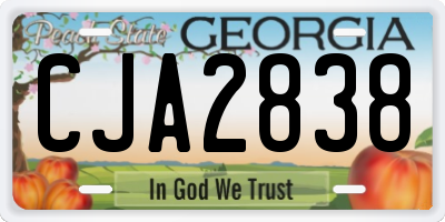 GA license plate CJA2838