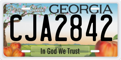 GA license plate CJA2842