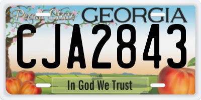 GA license plate CJA2843