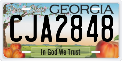 GA license plate CJA2848