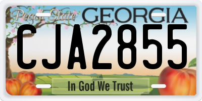 GA license plate CJA2855