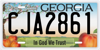 GA license plate CJA2861
