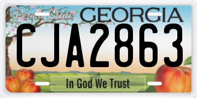 GA license plate CJA2863
