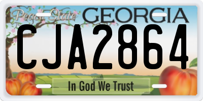 GA license plate CJA2864