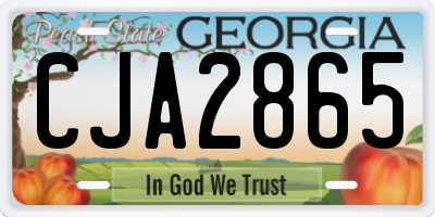 GA license plate CJA2865