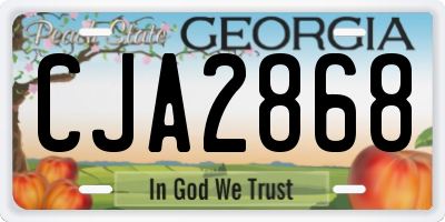 GA license plate CJA2868