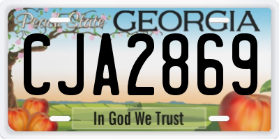 GA license plate CJA2869