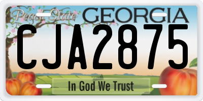 GA license plate CJA2875