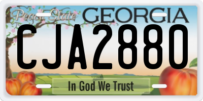 GA license plate CJA2880