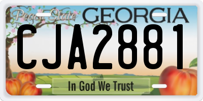 GA license plate CJA2881
