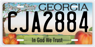GA license plate CJA2884