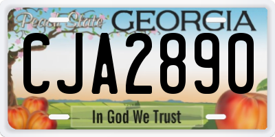 GA license plate CJA2890