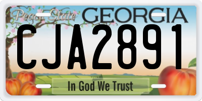 GA license plate CJA2891