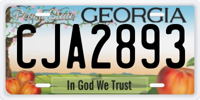 GA license plate CJA2893