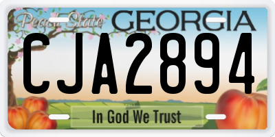 GA license plate CJA2894
