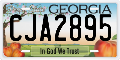 GA license plate CJA2895