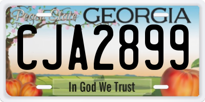 GA license plate CJA2899