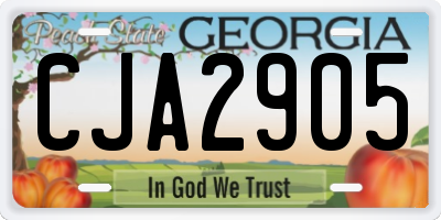 GA license plate CJA2905