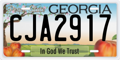 GA license plate CJA2917