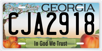GA license plate CJA2918