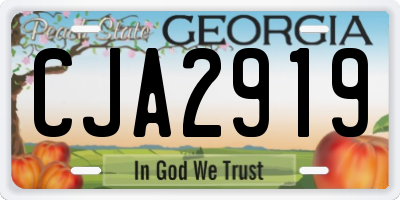 GA license plate CJA2919