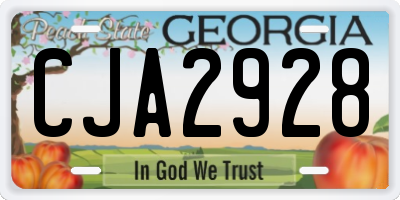 GA license plate CJA2928